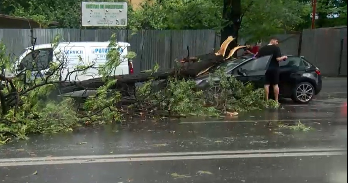 Cod roșu de furtună în București și mai multe județe. Patru mesaje RO-Alert într-o singură zi pentru Capitală. Un om a murit în Ilfov Cod roșu de furtună în București și mai multe județe. Patru mesaje RO-Alert într-o singură zi pentru Capitală. Un om a murit în Ilfov