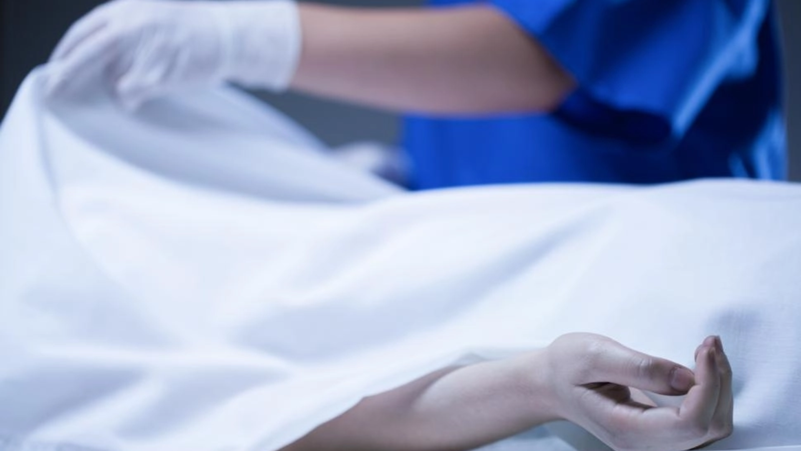 Europa, sufocată de căldură: 1.300 de decese și 41,7°C înregistrate în Germania Europa, sufocată de căldură: 1.300 de decese și 41,7°C înregistrate în Germania