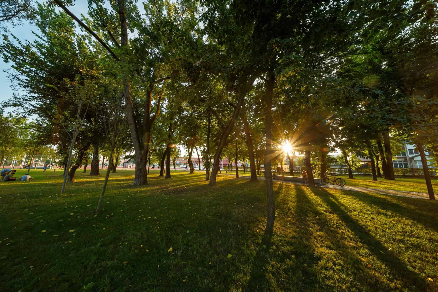 Prognoza meteo în județul Cluj pentru sâmbătă, 4 iulie. Vreme plăcută, temperaturi de vară și șanse reduse de ploaie Prognoza meteo în județul Cluj pentru sâmbătă, 4 iulie. Vreme plăcută, temperaturi de vară și șanse reduse de ploaie