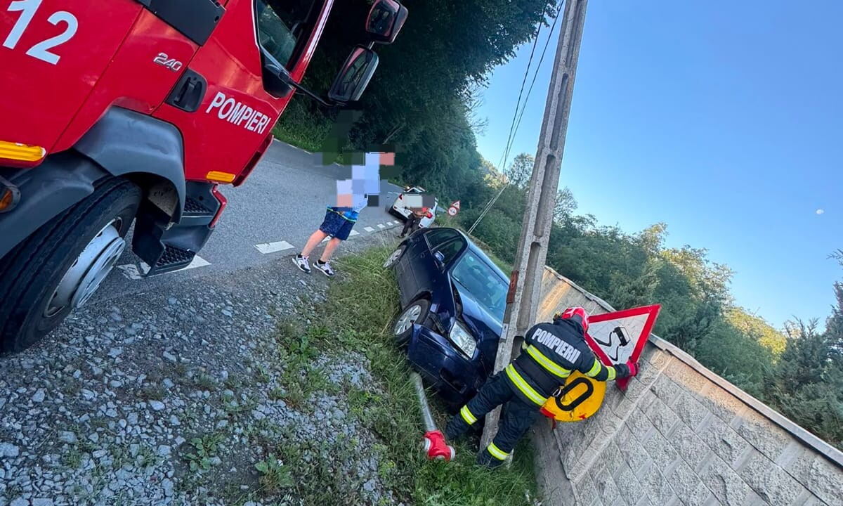FOTO: ACCIDENT rutier la Cărpiniș. O mașină a lovit un stâlp de curent