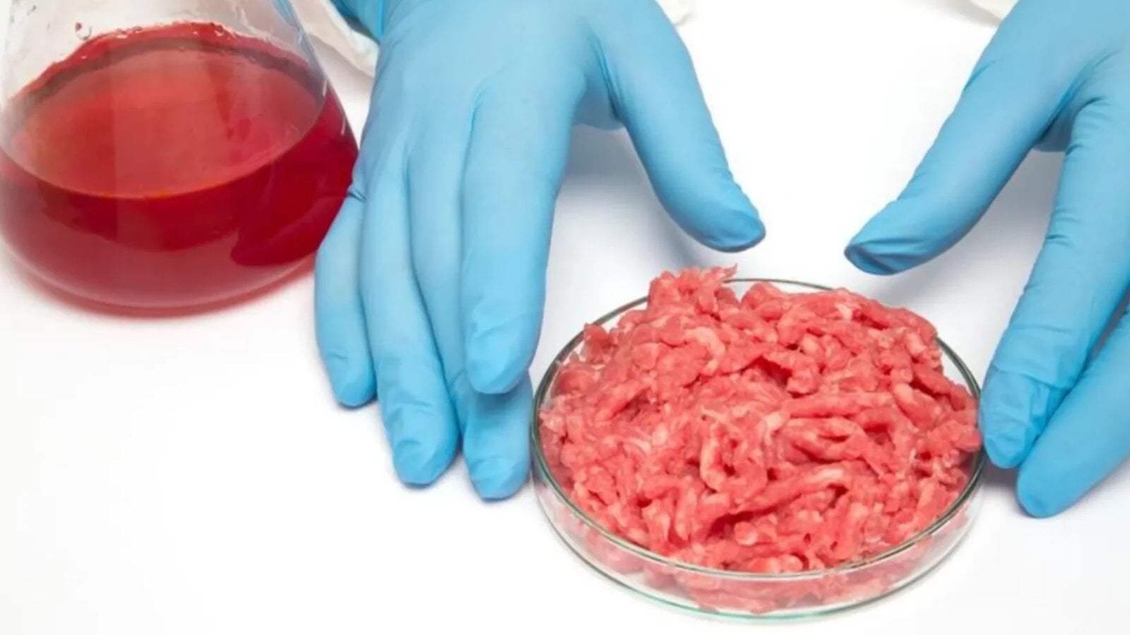 România pornește un război total împotriva cărnii cultivate în laborator și vrea să blocheze definitiv alimentele de eprubetă în toate magazinele România pornește un război total împotriva cărnii cultivate în laborator și vrea să blocheze definitiv alimentele de eprubetă în toate magazinele