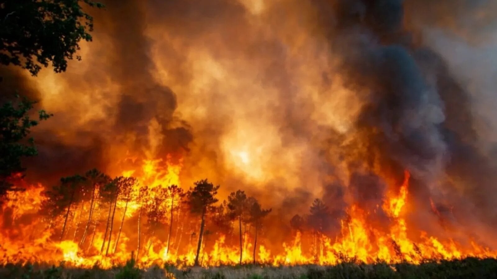 Incendiu de pădure puternic în sudul Spaniei: bilanțul victimelor crește dramatic, armata intervine de urgență Incendiu de pădure puternic în sudul Spaniei: bilanțul victimelor crește dramatic, armata intervine de urgență