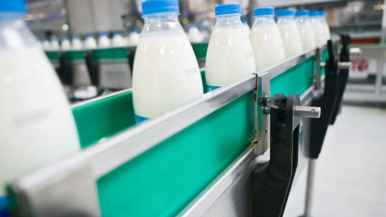 România riscă să piardă piața europeană. Abatoarele și procesatorii de lapte se opun vaccinării în masă a ovinelor: „Poate muri întregul sector” România riscă să piardă piața europeană. Abatoarele și procesatorii de lapte se opun vaccinării în masă a ovinelor: „Poate muri întregul sector”