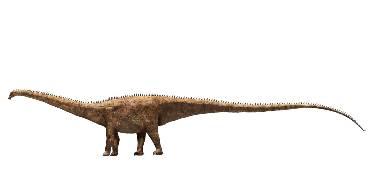 O nouă specie de dinozaur uriaș a fost descoperită pornind de la o singură vertebră