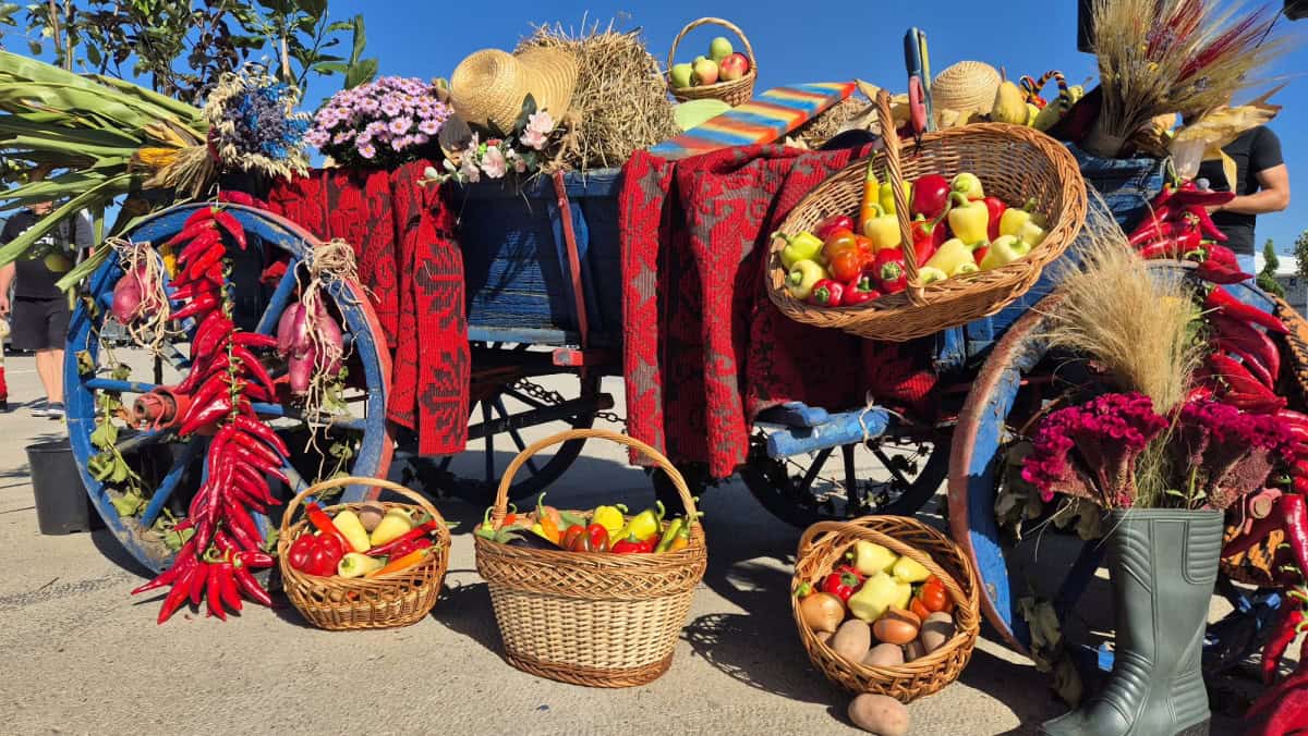 Când va fi organizat târgul Apulum Agraria 2026. Vor fi două etape, una la Alba Iulia și cealaltă la Ighiu Când va fi organizat târgul Apulum Agraria 2026. Vor fi două etape, una la Alba Iulia și cealaltă la Ighiu