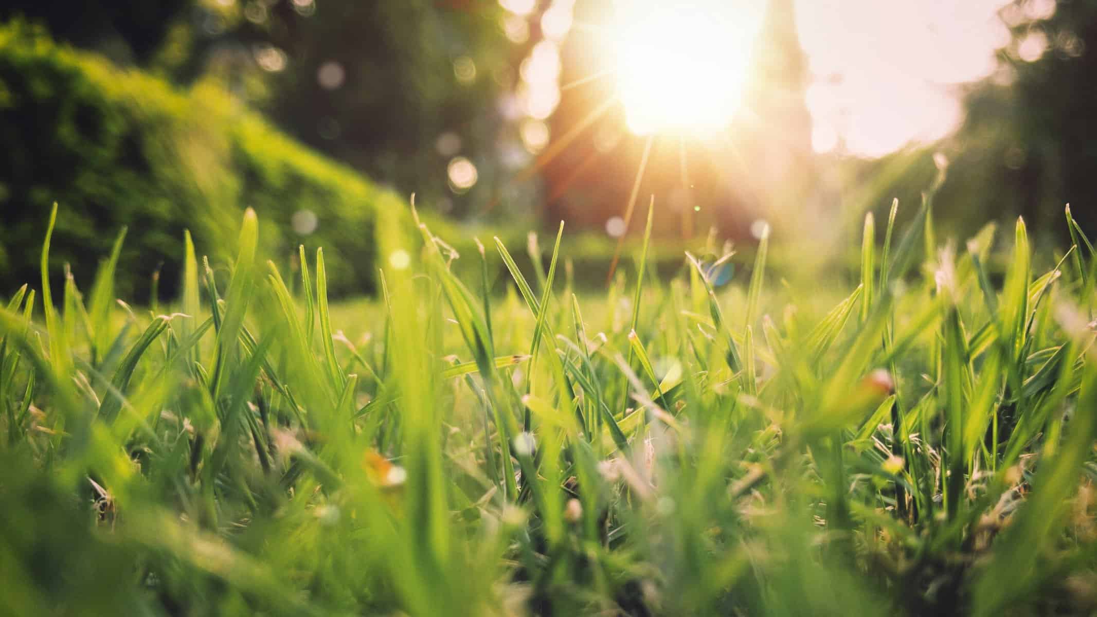 Vreme frumoasă și temperaturi de până la 30 de grade în Cluj, marți, 14 iulie. Prognoza pentru Cluj-Napoca și celelalte localități