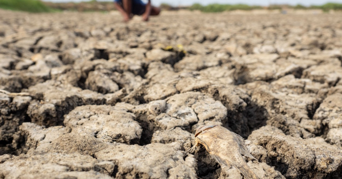 Avertismente sumbre ale experților despre „super El Nino”: fenomenul ar putea crește prețurile alimentelor timp de ani de zile Avertismente sumbre ale experților despre „super El Nino”: fenomenul ar putea crește prețurile alimentelor timp de ani de zile