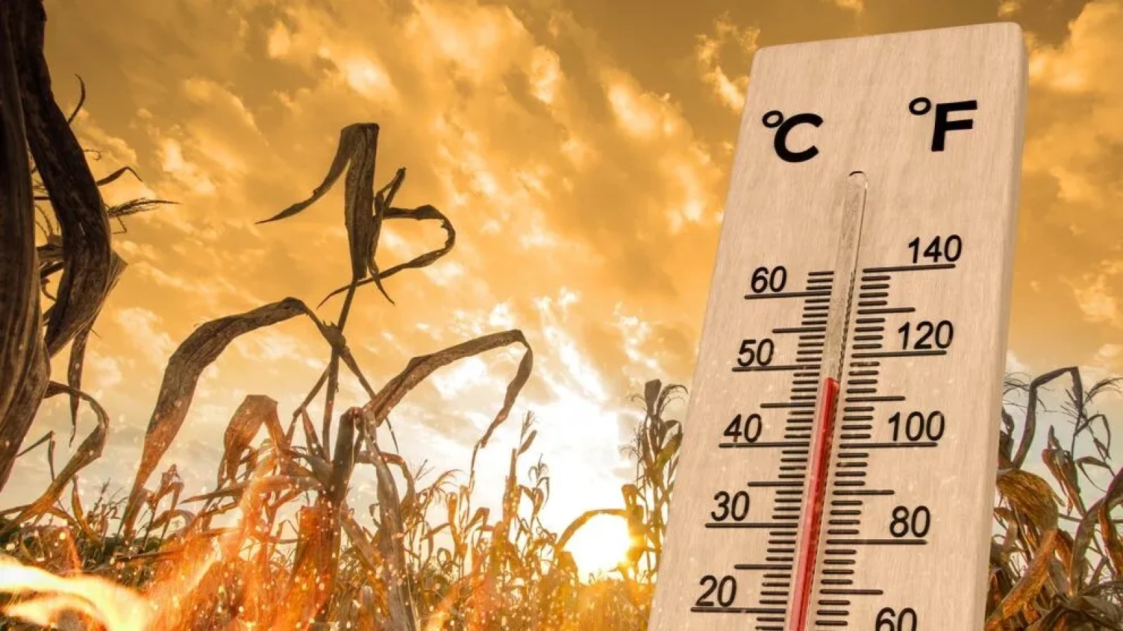 Meteorologii ANM au emis prognoza pe termen lung: Abia acum urmează valurile de caniculă și vară cu adevărat fierbinte Meteorologii ANM au emis prognoza pe termen lung: Abia acum urmează valurile de caniculă și vară cu adevărat fierbinte