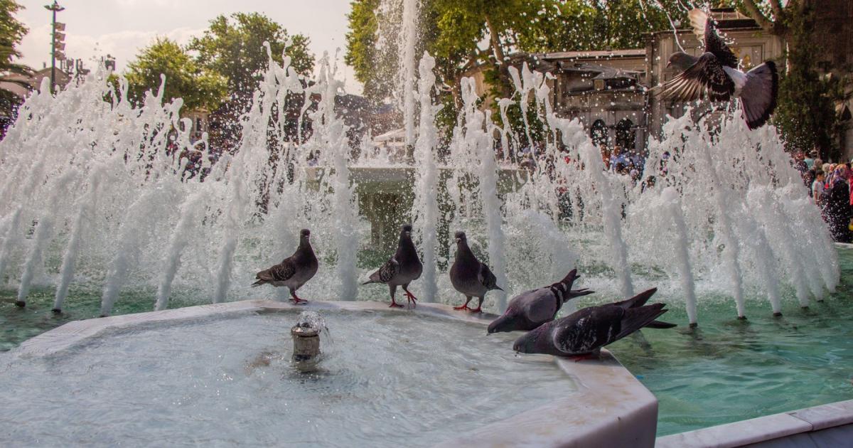 Vremea de mâine 19 iulie. Caniculă în Oltenia și Muntenia, vijelii și ploi abundente în restul țării Vremea de mâine 19 iulie. Caniculă în Oltenia și Muntenia, vijelii și ploi abundente în restul țării