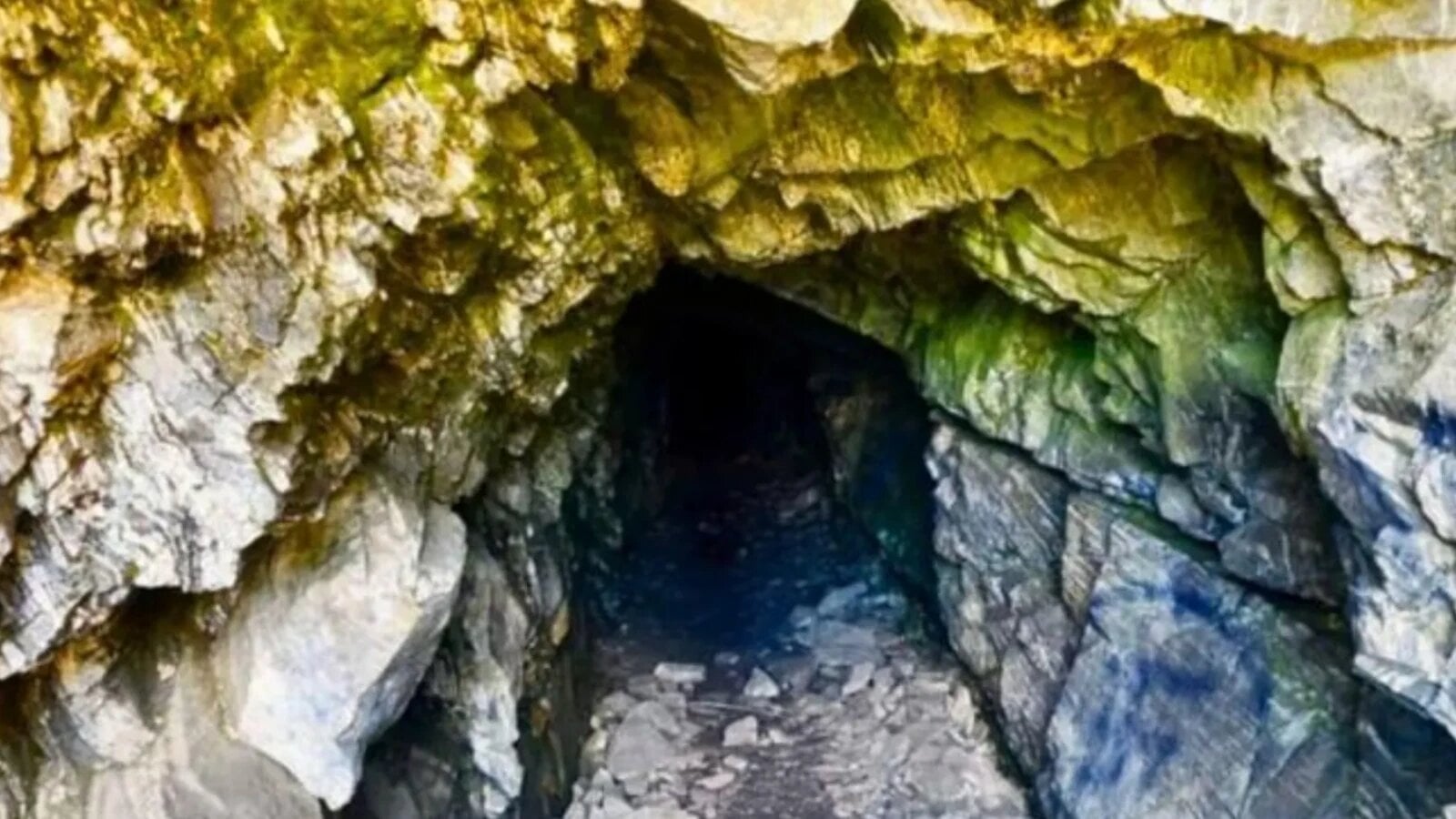 Descoperire majoră: 16 specii necunoscute au ieșit la lumină din această peșteră Descoperire majoră: 16 specii necunoscute au ieșit la lumină din această peșteră