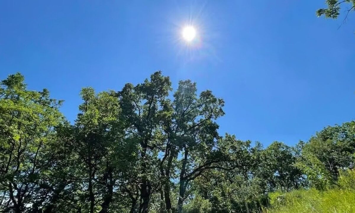 Vremea în Alba, în săptămâna 27 iulie