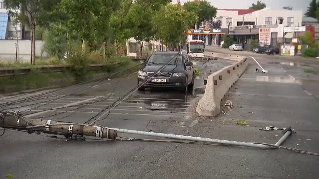 Vijelia a făcut ravagii &icirc;n Capitală: copaci și st&acirc;lpi dobor&acirc;ți peste șosea. Gara de Nord a rămas fără curent pe linii